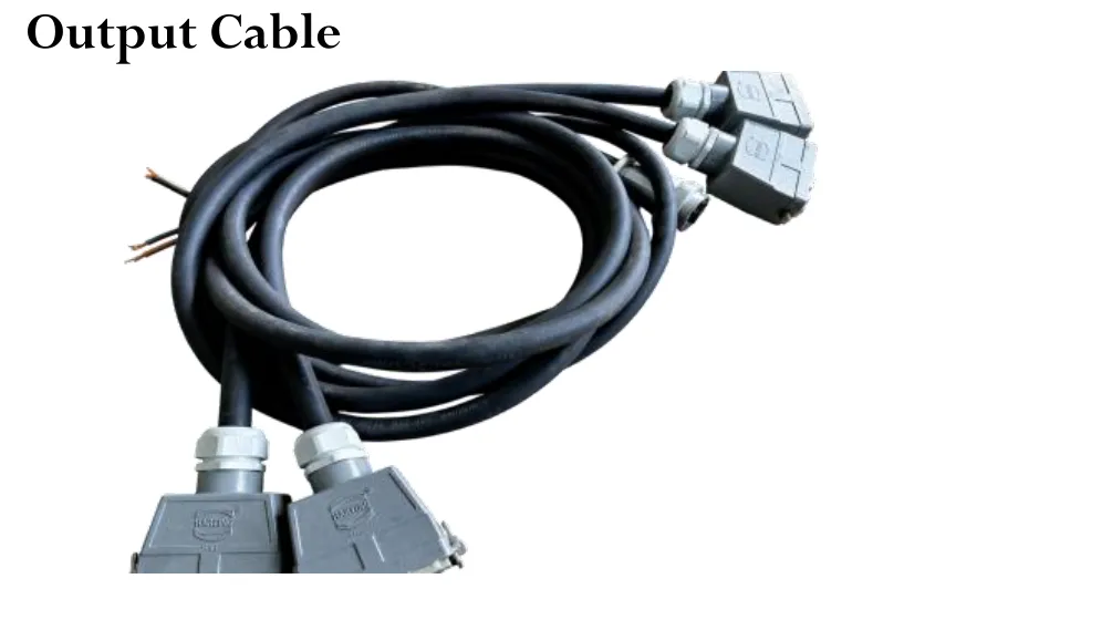 Cable de salida